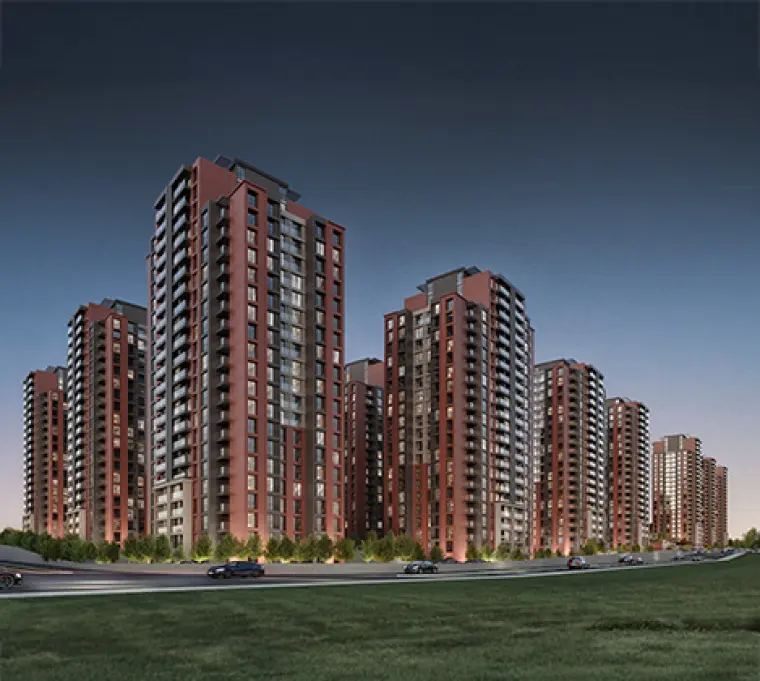 Natura World Projects